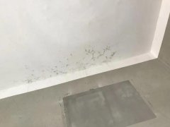凯时K66官网 - 凯时优质运营商首页