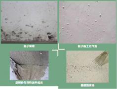 凯时K66官网 - 凯时优质运营商首页