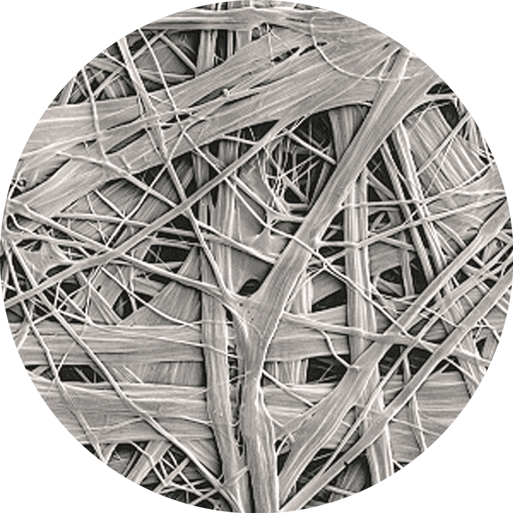 凯时K66官网 - 凯时优质运营商首页