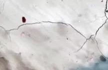 凯时K66官网 - 凯时优质运营商首页