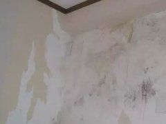 凯时K66官网 - 凯时优质运营商首页