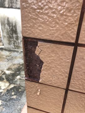 凯时K66官网 - 凯时优质运营商首页