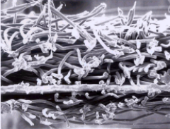 凯时K66官网 - 凯时优质运营商首页