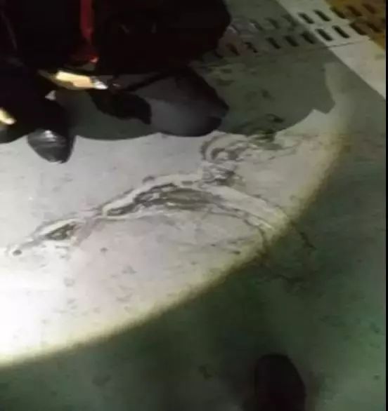 凯时K66官网 - 凯时优质运营商首页