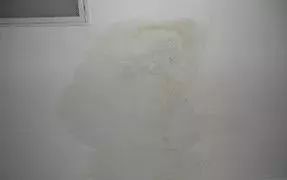 凯时K66官网 - 凯时优质运营商首页