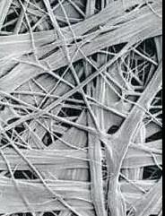 凯时K66官网 - 凯时优质运营商首页